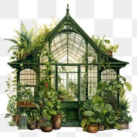 PNG Plant greenhouse garden leaf transparent background