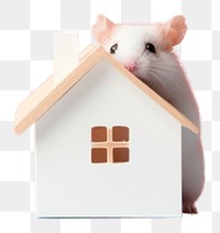 PNG Animal mammal rodent house. AI generated Image by rawpixel.