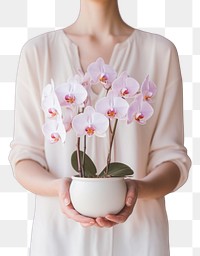 PNG Orchid flower nature petal. AI generated Image by rawpixel.