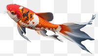 PNG Fish koi animal carp transparent background