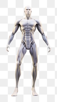 PNG Human bodybuilding bodybuilder futuristic. AI generated Image by rawpixel.
