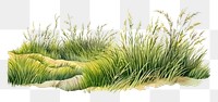 PNG Grass land grassland outdoors