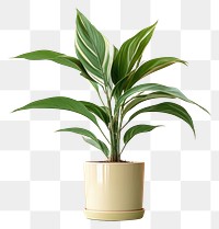 PNG Plant leaf vase houseplant. AI generated Image by rawpixel.