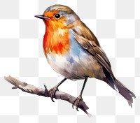 PNG Robin bird animal creativity. 