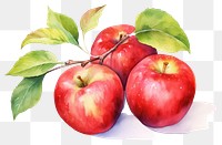PNG Apple fruit plant food. AI generated Image by rawpixel.