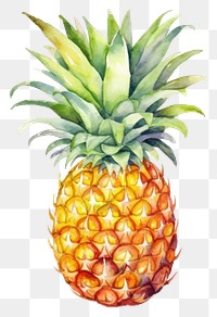 PNG Pineapple fruit plant food. AI generated Image by rawpixel.