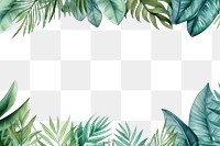 PNG Tropics pattern nature plant