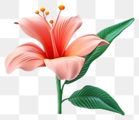 PNG Flower hibiscus petal plant. 