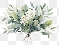 PNG Flower plant transparent background freshness. 