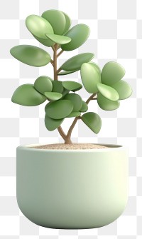 PNG Plant bonsai leaf vase. AI generated Image by rawpixel.