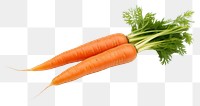 PNG Carrot vegetable plant food. 