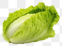 PNG Lettuce vegetable plant food. 