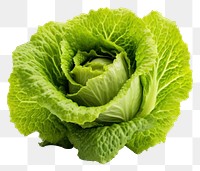 PNG Lettuce vegetable plant food. 