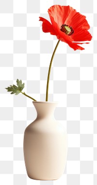 PNG Poppy vase ceramic flower. 