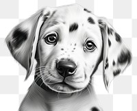 PNG Drawing puppy dog dalmatian. AI generated Image by rawpixel.