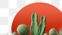 PNG Cactus plant copy space nature transparent background