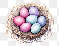 PNG Egg easter bird nest transparent background