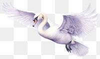 PNG Swan animal flying transparent background