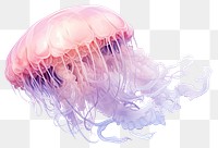 PNG Jellyfish animal pink transparent background. 