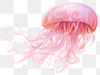 PNG Jellyfish pink transparent background invertebrate. 