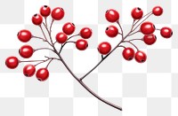 PNG Winterberry cherry plant fruit. AI generated Image by rawpixel.