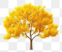 PNG Plant maple tree outdoors. AI generated Image by rawpixel.