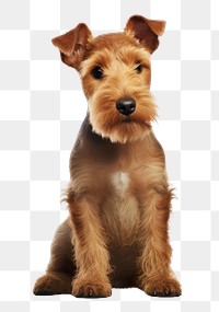 PNG Terrier mammal animal puppy. AI generated Image by rawpixel.
