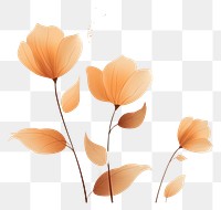 PNG Pattern flower plant architecture transparent background