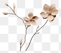 PNG Flower plant petal architecture transparent background