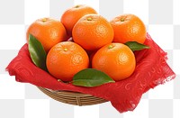 PNG Grapefruit basket plant food. AI generated Image by rawpixel.