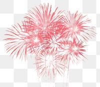 PNG Fireworks plant celebration recreation. AI generated Image by rawpixel.