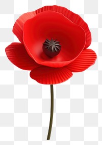 PNG Poppy flower plant red. AI generated Image by rawpixel.