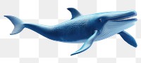 PNG Whale dolphin animal mammal. 