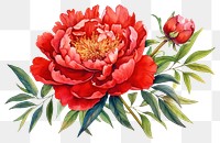 PNG Flower dahlia plant rose. 