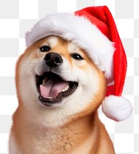 PNG Christmas mammal animal puppy. AI generated Image by rawpixel.