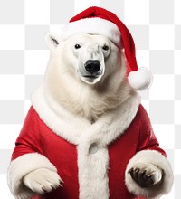 PNG Polar bear christmas mammal animal. AI generated Image by rawpixel.