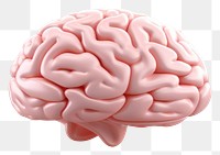 PNG Brain white background freshness medical. AI generated Image by rawpixel.