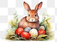 PNG Egg animal mammal easter. AI generated Image by rawpixel.