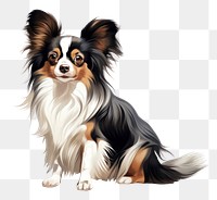 PNG Papillon spaniel mammal animal. 