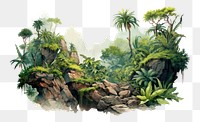 PNG Vegetation landscape outdoors nature