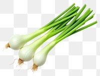 PNG Vegetable onion plant green. 