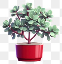 PNG Bonsai plant leaf tree. AI generated Image by rawpixel.