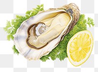 PNG Oyster seafood parsley lemon fruit. AI generated Image by rawpixel.