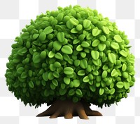 PNG Plant green tree white background. AI generated Image by rawpixel.