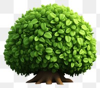 PNG Plant green tree  