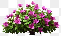 PNG Flower purple plant petal. AI generated Image by rawpixel.