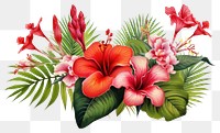 PNG Flower plant hibiscus transparent background