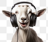 PNG Headphones livestock listening portrait. 