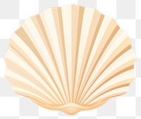 PNG Seashell clam invertebrate accessories. 