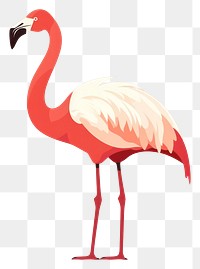 PNG Flamingo animal bird spoonbill. 